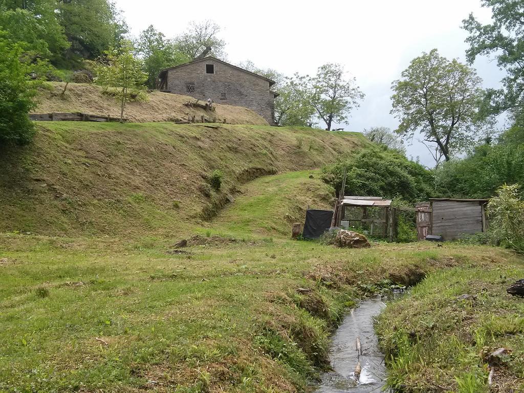 Mimmo'S Holiday House San Godenzo 外观 照片