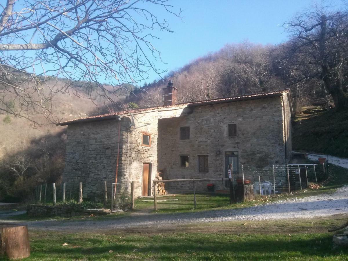 Mimmo'S Holiday House San Godenzo 外观 照片