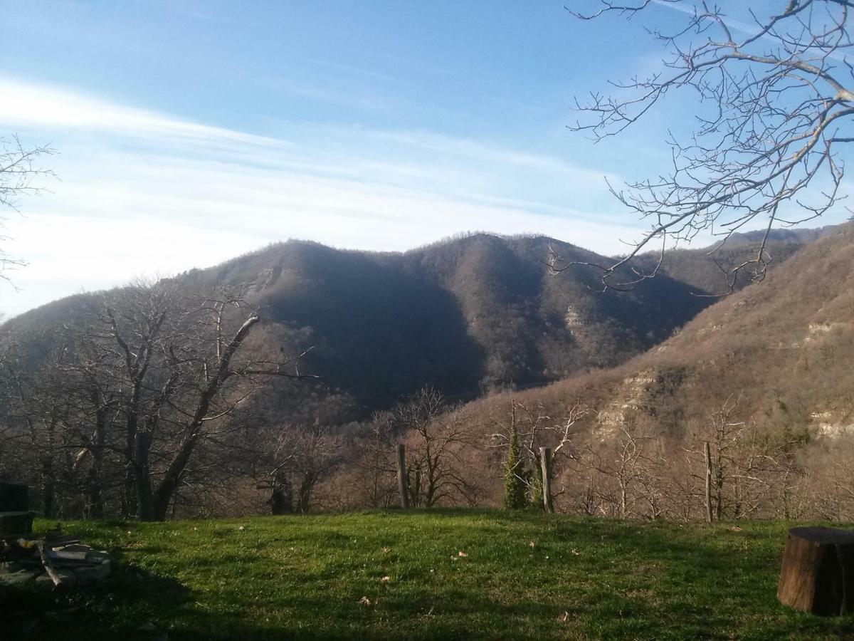 Mimmo'S Holiday House San Godenzo 外观 照片